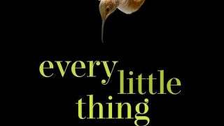 Every Little Thing