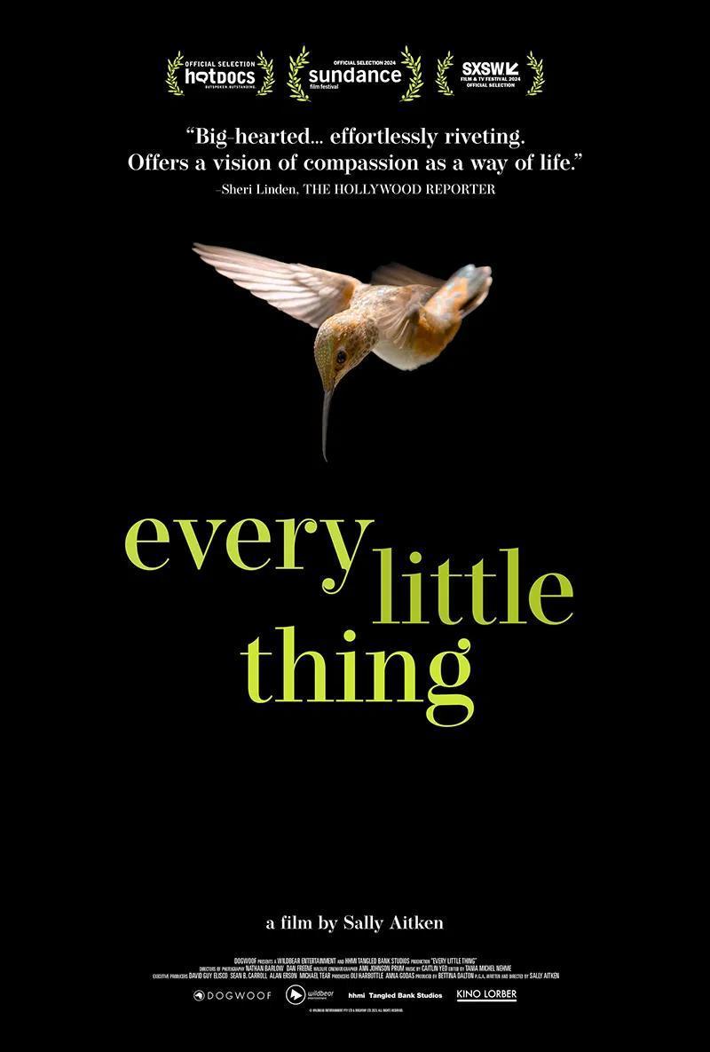 Every Little Thing 2025